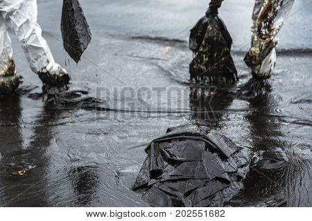 Workers remove and clean up crude oil spilled with absorbent paper from Prao Bay on July 31 2013 in Samet Island Rayong Thailand