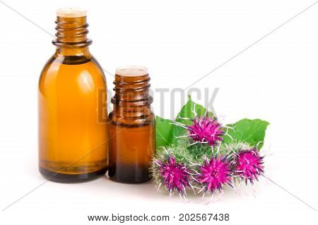 burdock oil in glass bottle and burdock flowers isolated on white background.