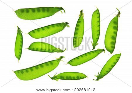 Sugar peas (Pisum sativum) pods isolated against white backgroun