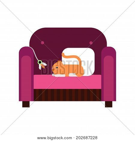Cute red cat lplaying with toy while sitting on a purple sofa, home pet having fun cartoon vector Illustration on a white background