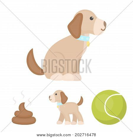 Dog sitting, dog standing, tennis ball, feces. Dog set collection icons in cartoon style vector symbol stock illustration .