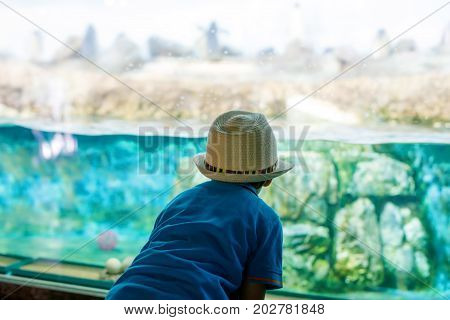 Little kid boy admire different reptiles and fishes in aquarium through the glass in zoo. Happy school child watching and observing animals and reptiles. Family leisure with kids