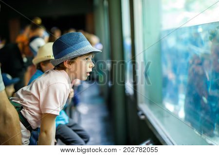 Little kid boy admire different reptiles and fishes in aquarium through the glass in zoo. Happy school child watching and observing animals and reptiles. Family leisure with kids