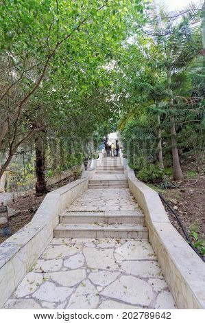 A path paved white stone path among green bushes and trees.