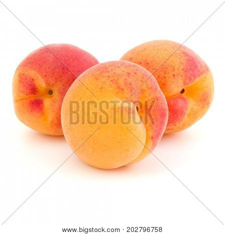three apricot fruit isolated on white background cutout