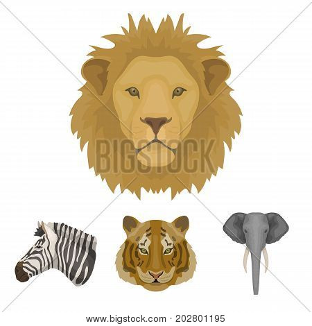 Tiger, lion, elephant, zebra, Realistic animals set collection icons in cartoon style vector symbol stock illustration .