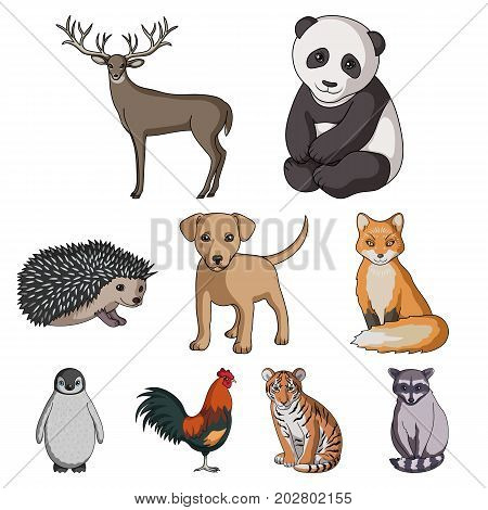 Deer, tiger, cow, cat, rooster, owl and other animal species.Animals set collection icons in cartoon style vector symbol stock illustration .