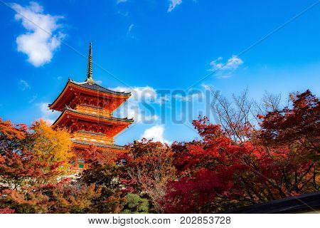 Attraction in Japan. The Kiyomizudera temple Kyoto Japan.