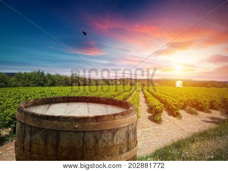 Red wine with barrel on vineyard in green Tuscany, Italy.