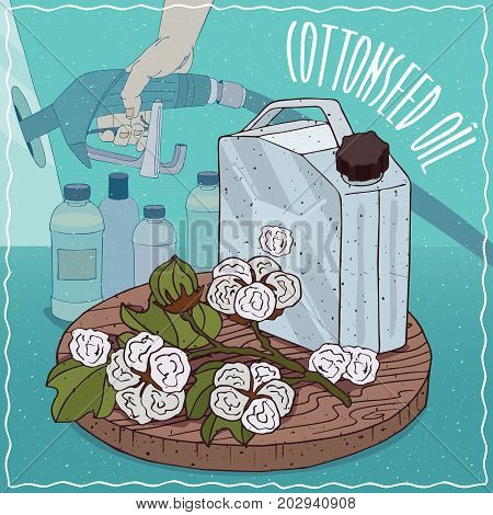 Metal Jerrycan of Cotton seed oil and Gossypium or cotton plant. Filling at gas petrol station. Natural vegetable oil used for fuel production