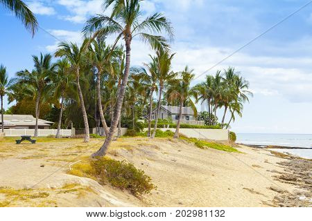 hawaiian house on a beach with palms in the island fo oahu hawaii
