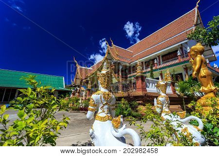 Wat Pa Prao Nok Temple In Chiang Mai, Thailand