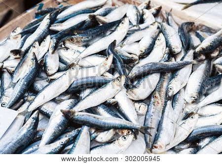 Fresh Fish For Sale In The Fish Market Pescheria Of Catania, Sicily, Italy