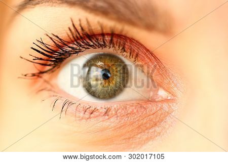Closeup Of Amazing Female Green Coloured Right Eye With A Tiny Bit Of Cosmetics Around