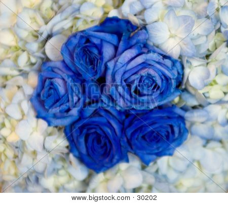 Blomster