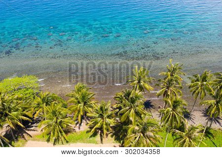 Landscape With Coconut Trees And Turquoise Lagoon, View From Above.seascape With Palm Trees And A Pe
