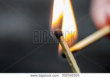 The Burning Matches And Flame Close Up