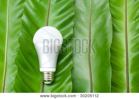Lampadina a LED
