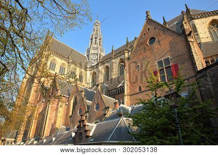 The Ornate And Colorful Architecture Of St Bavokerk Church (with Carvings) In Haarlem, Netherlands