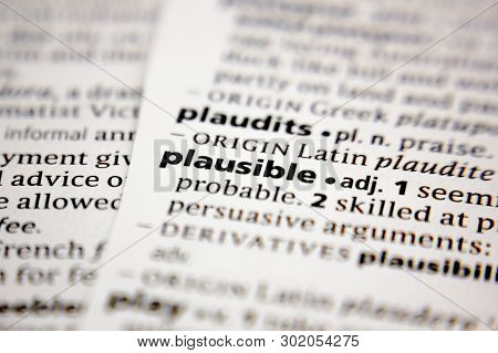 Word Or Phrase Plausible In A Dictionary.