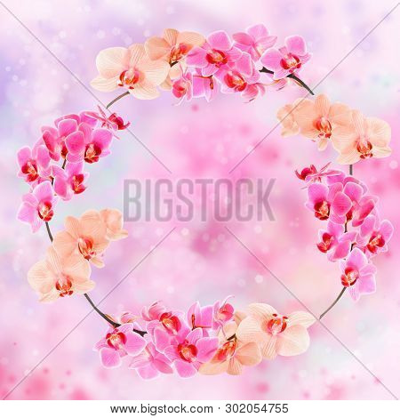 Circle Frame Made From Phalaenopsis Orchids On Abstract Background, Text Space