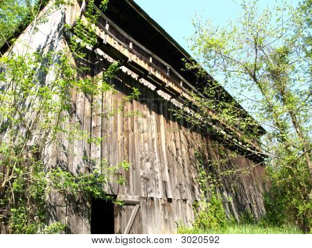 Historical Tobacco Barn