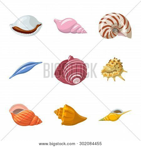 Vector Design Of Seashell And Mollusk Symbol. Set Of Seashell And Seafood  Vector Icon For Stock.