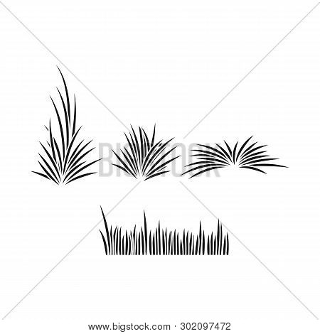 Vector Illustration Of Grass And Bush Logo. Collection Of Grass And Garden Stock Vector Illustration