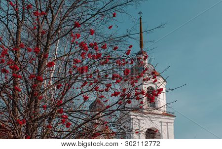 Clusters Of A Red Mountain Ash On A Bush Against The Background Of Orthodox Church