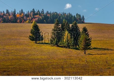View Of A Trees At The Field And Forest, With Blue Sky, Mari El, Russia