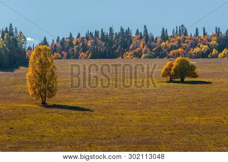 View Of A Trees At The Field And Forest, With Blue Sky, Mari El, Russia