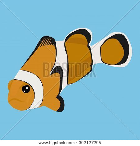 Clownfish Vector Icon On A Blue Background. Anemone Fish Illustration Isolated On Blue. Exotic Fish 