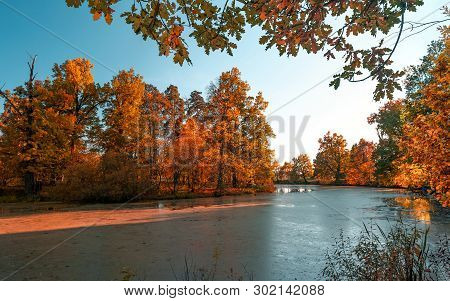 Autumn At The Forest River In Sunny Day