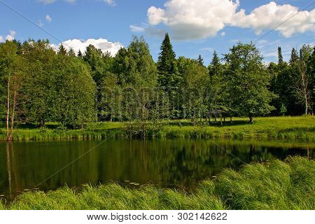 Forest Lake With Rflection And With Cloudscape