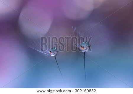 Beautiful Blue Nature Background.Amazing Spring Dandelion Flower.Water Drop.Macro Photo of Magic Flowers.Border Art Design.Extreme close up Photography.Conceptual Abstract Image.Fantasy Floral Art.Creative Artistic Wallpaper.Web Banner.Colorful.