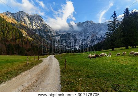 View Of Mount Skuta From Valley Zgornje Jezersko In Autumn. Northern Slovenia