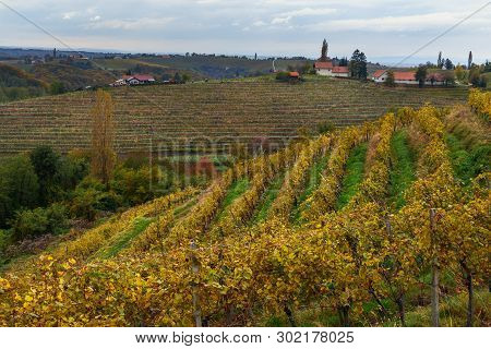 Beautiful Vineyards Landscape Of Jeruzalem On Slovene Hills In Ljutomer. Northeastern Slovenia