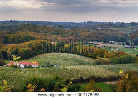 Beautiful Vineyards Landscape Of Jeruzalem On Slovene Hills In Ljutomer. Northeastern Slovenia
