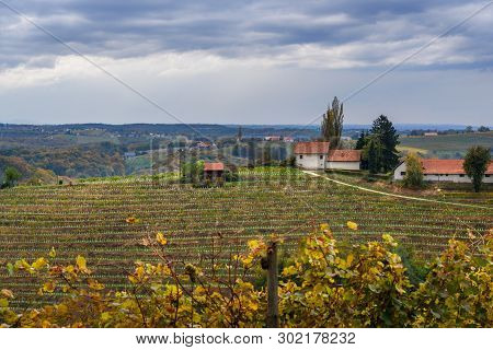 Beautiful Vineyards Landscape Of Jeruzalem On Slovene Hills In Ljutomer. Northeastern Slovenia