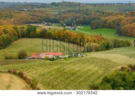 Beautiful Vineyards Landscape Of Jeruzalem On Slovene Hills In Ljutomer. Northeastern Slovenia