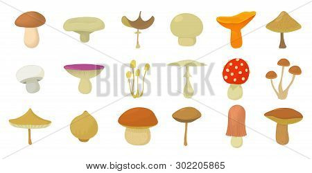 Mushroom Icon Set. Cartoon Set Of Mushroom Icons For Web Design Isolated On White Background