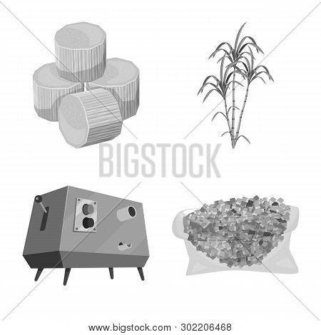 Vector Design Of Sugarcane And Cane Sign. Set Of Sugarcane And Field Stock Symbol For Web.