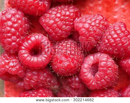 Raspberry Fruit Food
