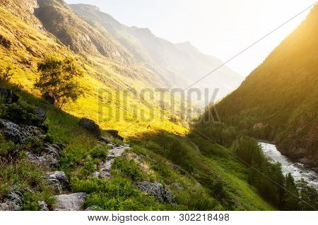 Mountain Gorge With River In Altai Mountains, Siberia, Russia. Trekking To Uchar Waterfall. Summer L