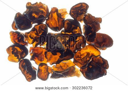 Jelly Ear(auricularia Auricula-judae) On White Background