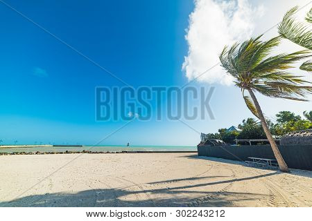 White Sand And Palm Trees In Higgs Beach In Key West. Southern Florida, Usa