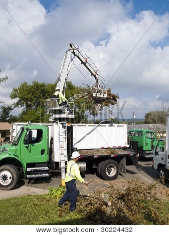 Camion raccolta pennello