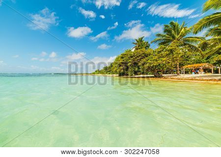 Colorful Shore In Bois Jolan Beach In Guadeloupe, French West Indies. Lesser Antilles, Caribbean Sea