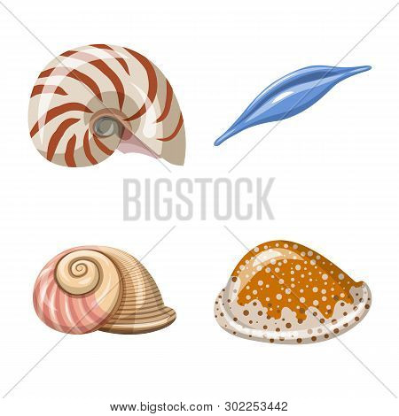 Vector Design Of Seashell And Mollusk Icon. Set Of Seashell And Seafood  Stock Vector Illustration.