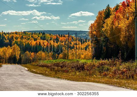 The Highway Through The Autumn Wood In Sunny Day, Mari El, Russia, 88k-002